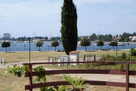 Murin Delfin Daire Umag Dış mekan fotoğraf