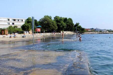 Murin Delfin Daire Umag Dış mekan fotoğraf