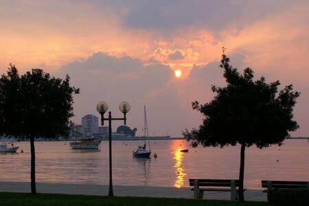 Murin Delfin Daire Umag Dış mekan fotoğraf
