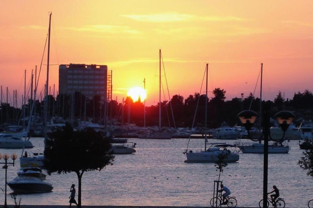 Murin Delfin Daire Umag Dış mekan fotoğraf