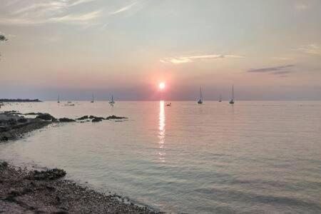 Murin Delfin Daire Umag Dış mekan fotoğraf