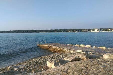Murin Delfin Daire Umag Dış mekan fotoğraf